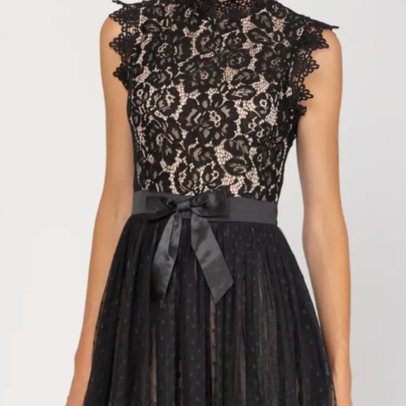 Midi Lace Dress With Polka Dot Tulle - Picture 4 of 4